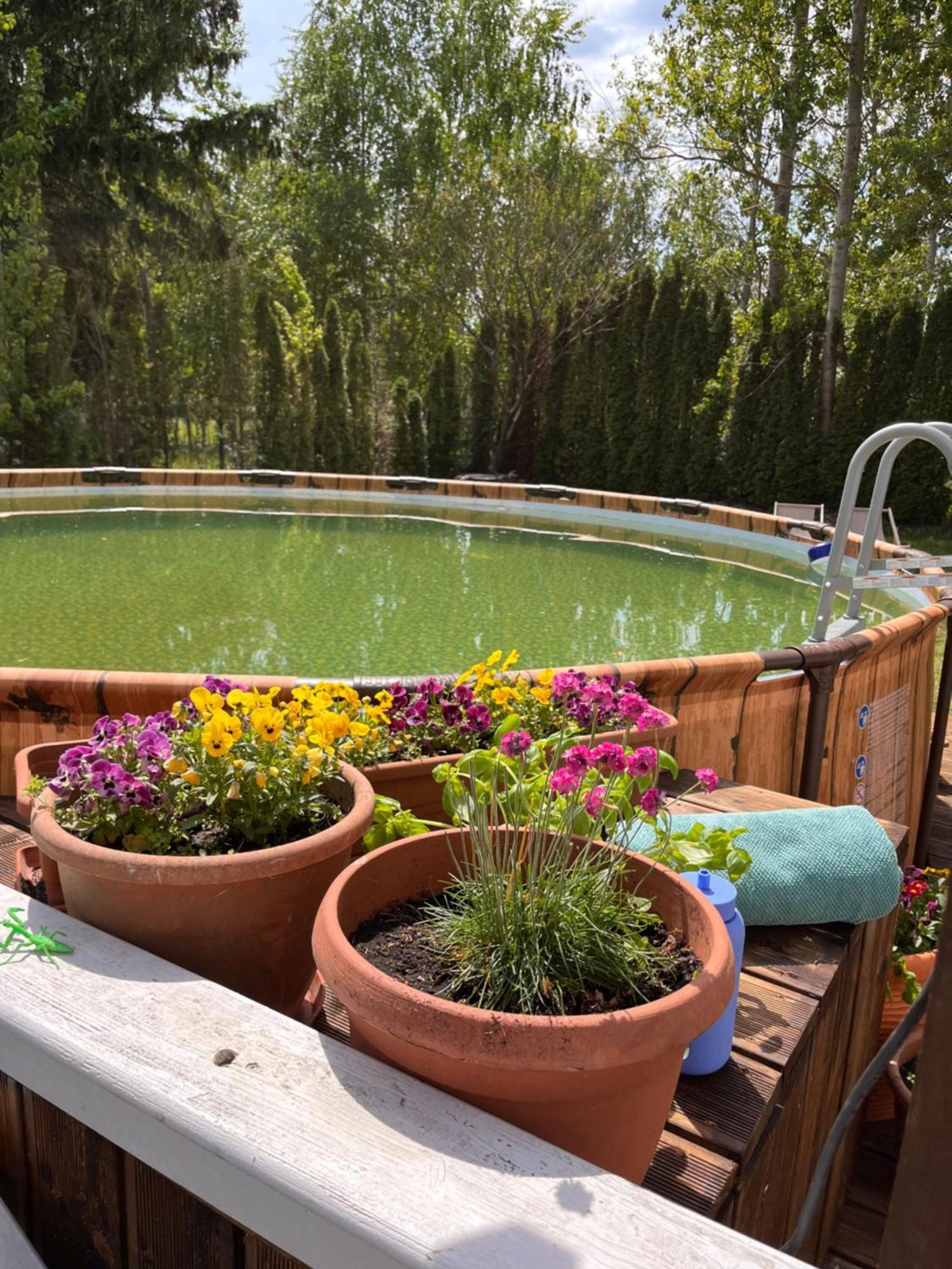 Uroczy dom nad jeziorem Śniardwy tuż obok plaży Nowe Guty Zewnętrze zdjęcie